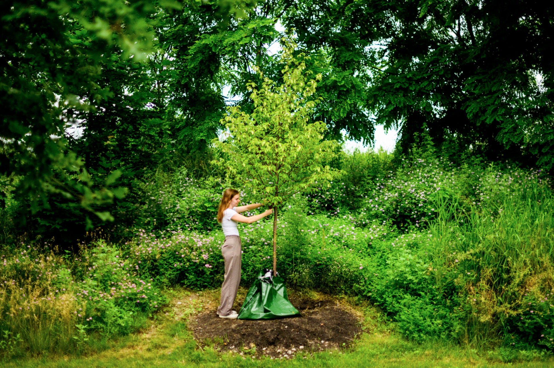 Contact, Forestry Co-op Program