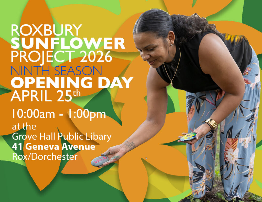 🌻 Roxbury Sunflower Project – Opening Day 2026 - Madison Park